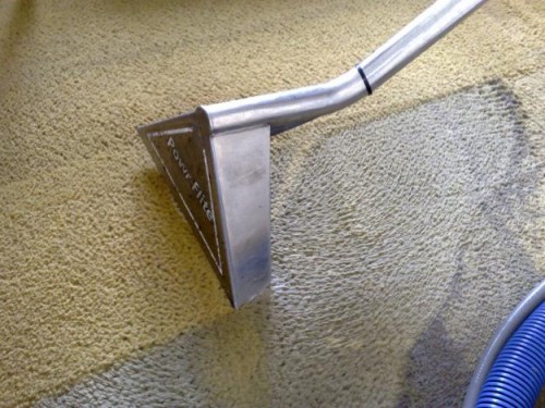 Ideas prácticas de la limpieza de alfombras